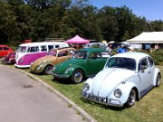 Beetle Show Rioz (9)